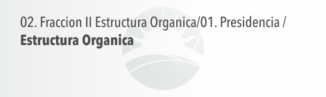 Estructura Organica - Presidencia
