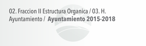 Estructura Orgánica – Ayuntamiento 2015-2018